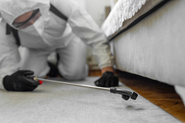Professional Bed Bug Control technician working in Lakeview Estates, GA